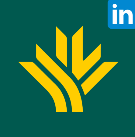 Espiga grupo caja rural