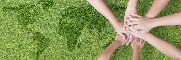 Rural Impacto Global